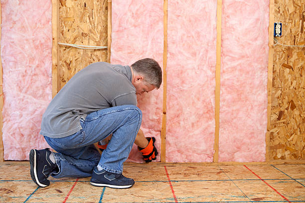 Best Insulation Maintenance and Repair in Spring City, TN